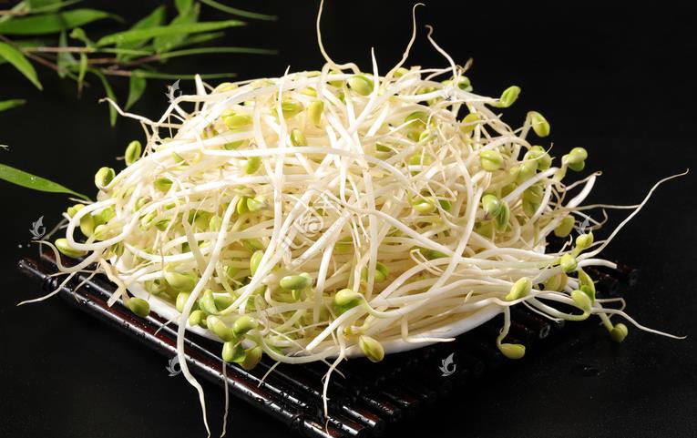 無(wú)公害綠色豆芽，怎么生產(chǎn)出來(lái)的？全套生產(chǎn)過(guò)程如此方便智能